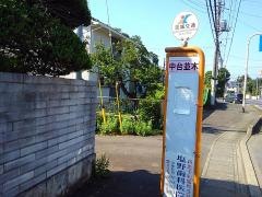 「中台並木」バス停留所