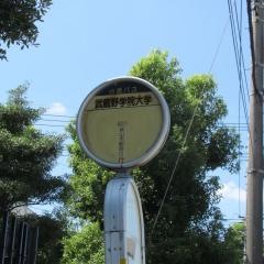 「武蔵野学院大学」バス停留所