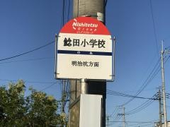 「鯰田小学校」バス停留所