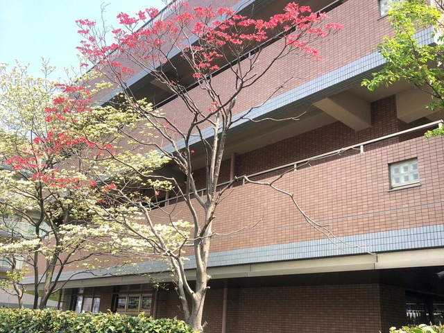 たちばなの園白糸台