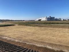 思川緑地