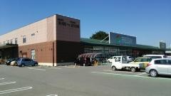 フレッセイフォリオ富岡店