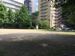 坪井中央公園