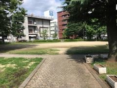 坪井中央公園
