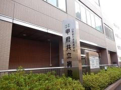 甲府共立病院