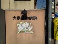 大泉動物病院