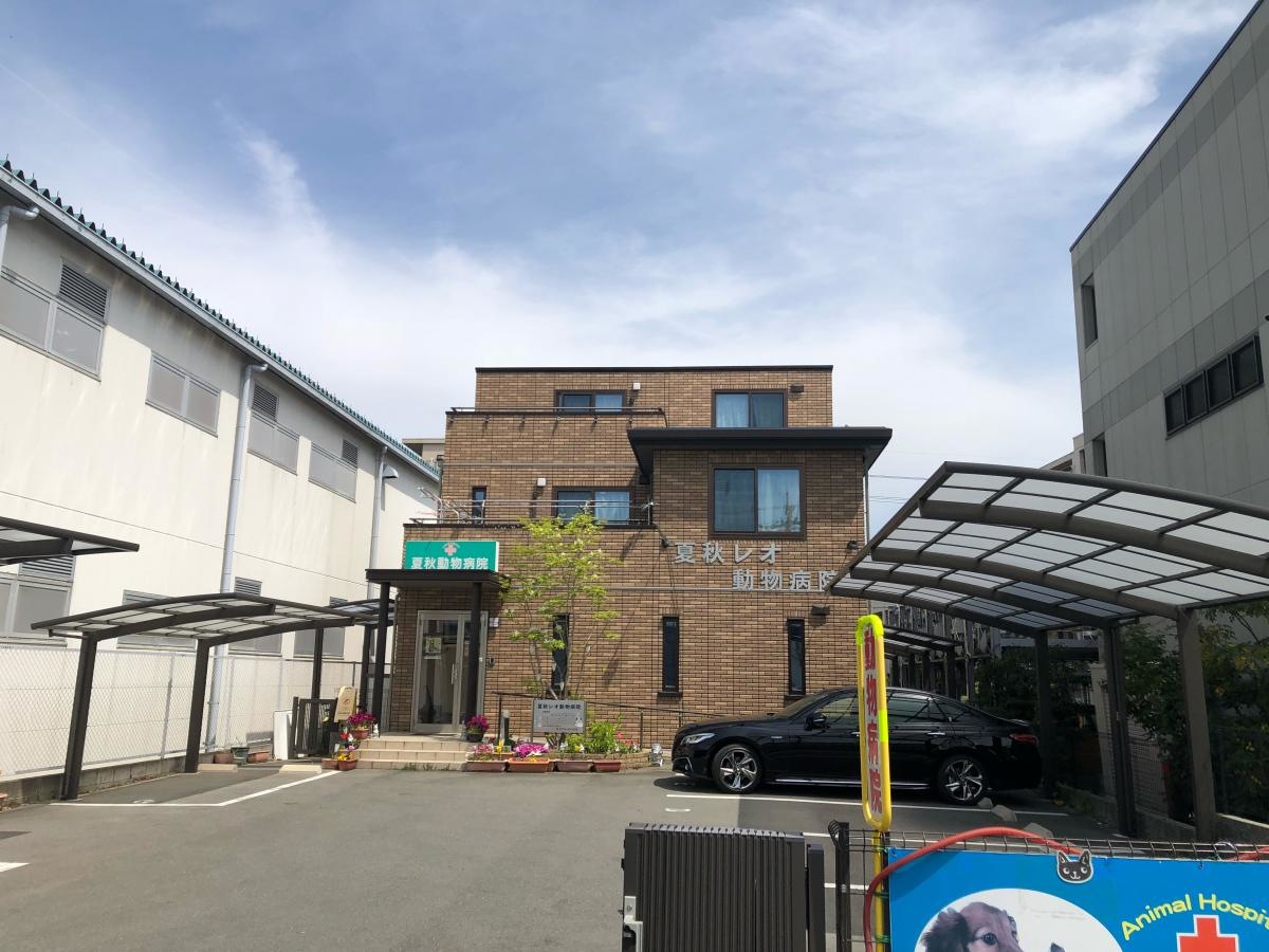 夏秋レオ動物病院