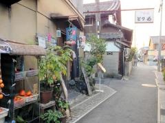 とり菊