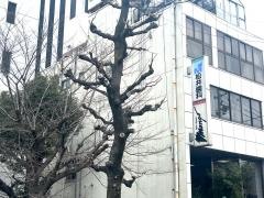 松井歯科医院