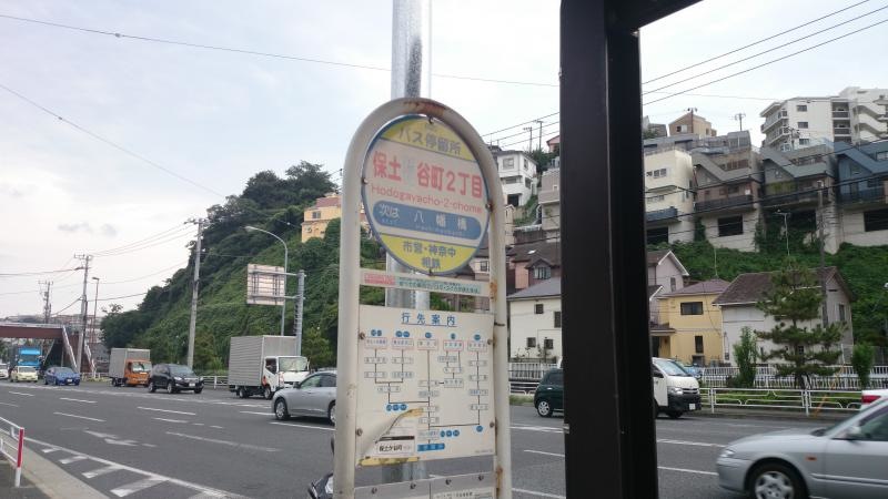 全体