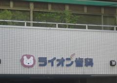 ライオン歯科