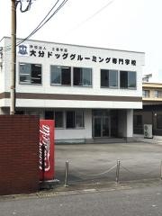 大分ドッググルーミング専門学校