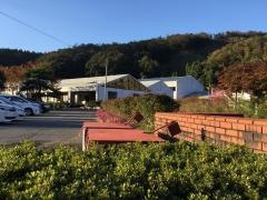 合橋小学校