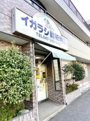 イガラシ動物病院