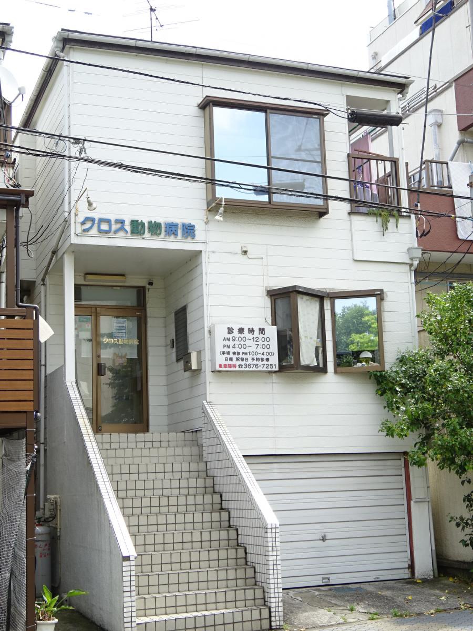 クロス 動物 病院