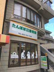 たんぽぽ鍼灸指圧接骨院