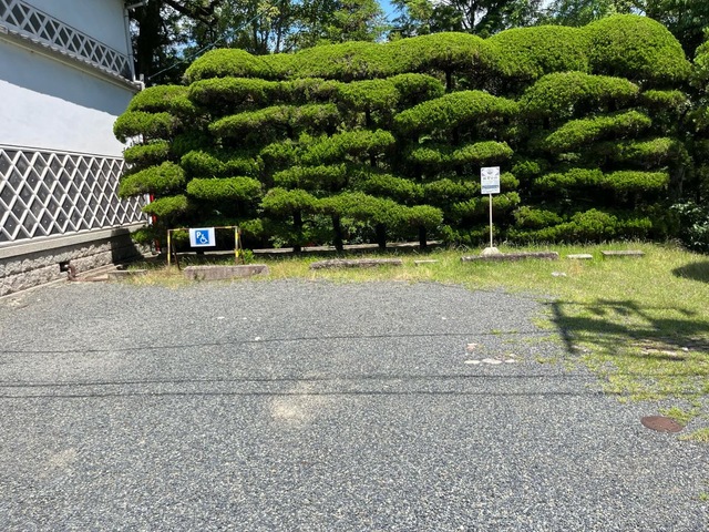 投稿写真1