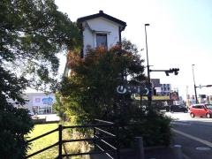 山ごぼう
