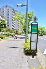 「汐入公園前」バス停留所