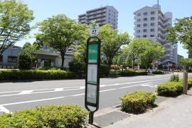 「汐入公園前」バス停留所
