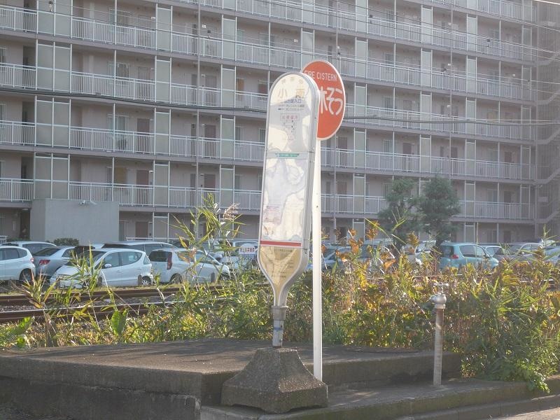 小南