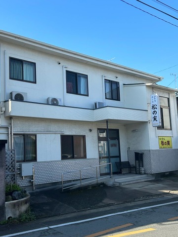 松の実