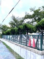 みかづき保育園