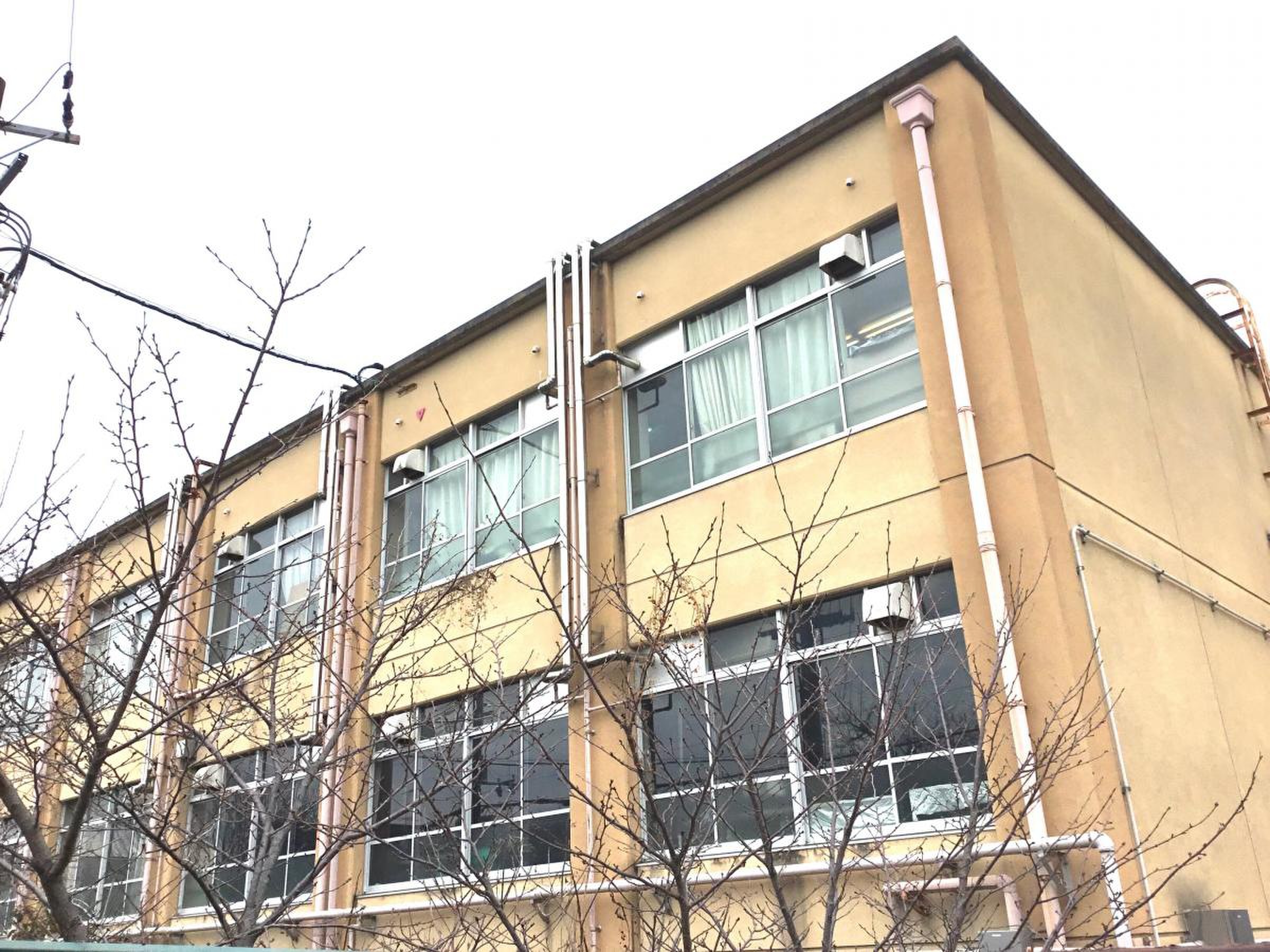 公の場での発言・インタビュー報道記録