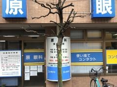 原眼科