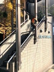 吉満鈴木耳鼻咽喉科医院