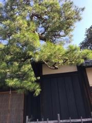 高台寺萬治郎