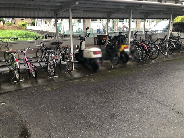 きずな