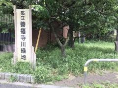 善福寺川緑地