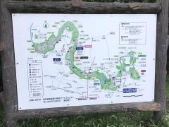 善福寺川緑地