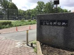 善福寺川緑地