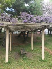 美濃町公園