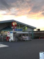 コメリハード＆グリーン　岩滝店