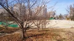 熊野田公園