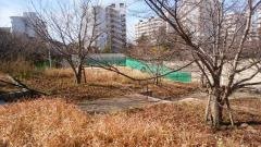 熊野田公園