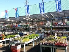 コメリハード＆グリーン　日野根雨店