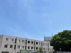 浪打病院
