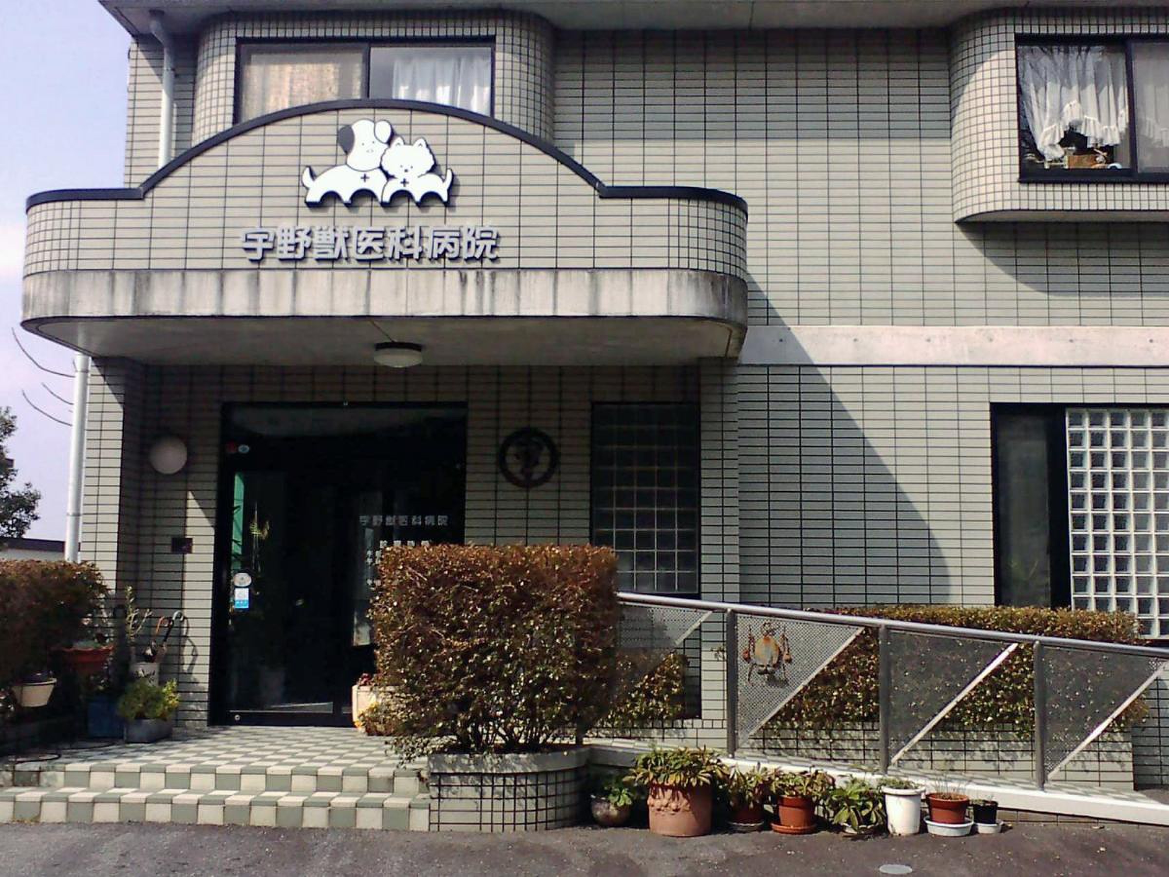 宇野 動物 病院