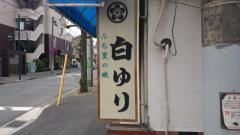 白ゆり
