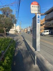 「神学校」バス停留所
