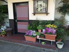 居酒屋　三河屋