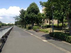 香澄3号緑道