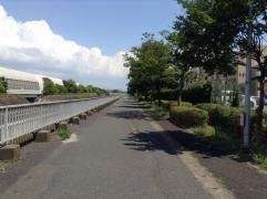 香澄3号緑道