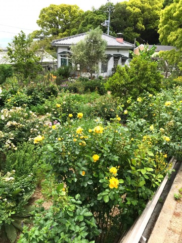 施設写真65