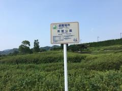 青葉緑地