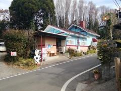 ついんスター
